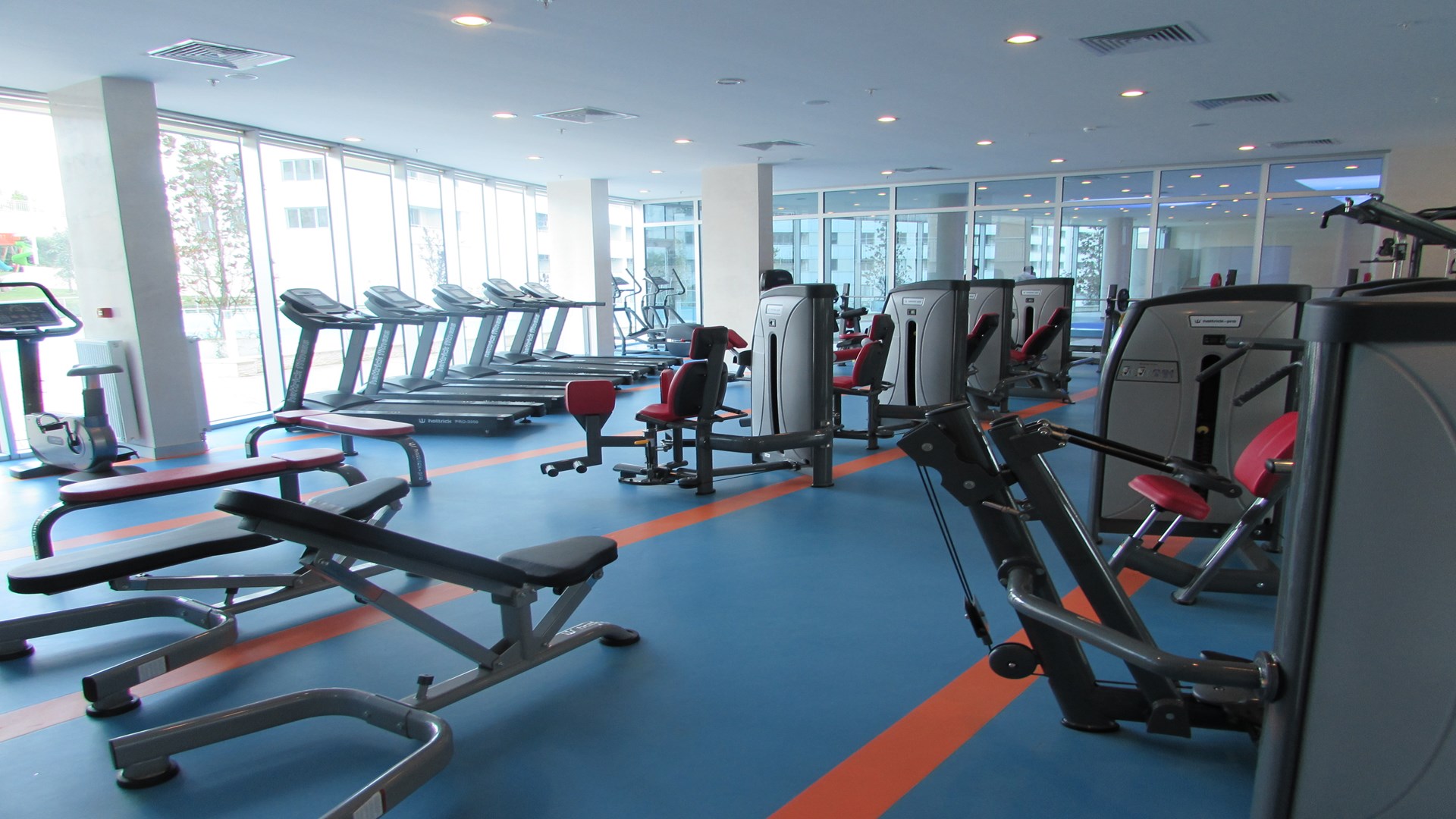 kuzuadv12_23vadi fitness.JPG